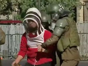Peternak Lebah Demo di Chile, 7 Polisi Kena Sengat Sampai Masuk RS Peternak Lebah Demo di Chile, 7 Polisi Kena Sengat Sampai Masuk RS