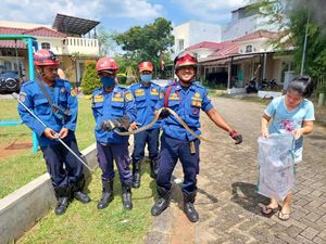 Ular 1,5 Meter di Cibinong Bogor Serang Petugas Damkar Saat Dievakuasi