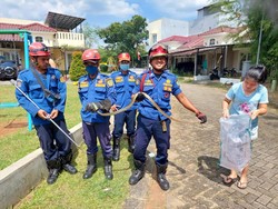Ular 1,5 Meter di Cibinong Bogor Serang Petugas Damkar Saat Dievakuasi