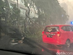Hujan Disertai Angin Kencang Tumbangkan Pohon di Jalan Pemuda Surabaya