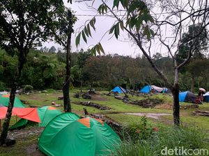4 Tempat Camping di Cibodas, Suguhkan Pemandangan Indah dan Udara yang Sejuk 4 Tempat Camping di Cibodas, Suguhkan Pemandangan Indah dan Udara yang Sejuk