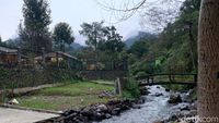 Teduhnya Bumi Perkemahan Mandalawangi Cibodas