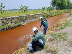 DLH Mojokerto Ambil Sampel Teliti Sungai Ledeng Berwarna Merah Darah