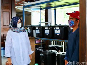 Melihat Budidaya Lobster di Banyuwangi, Sekali Panen Bisa 2-3 Kuintal