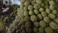 Asyik, Lampung Lagi Musim Durian Lho