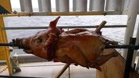 Nyeleneh! 10 Aksi Netizen Masak Asal-asalan Ini Bikin Pusing Kepala