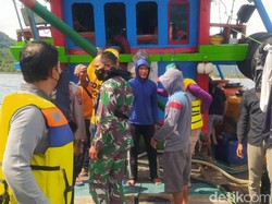 Penggeledahan Kapal Nihil, ke Mana Perginya Lumba-lumba yang Viral Mati?