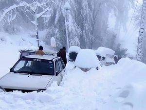 21 Turis Tewas di Jalan Terkena Badai Salju