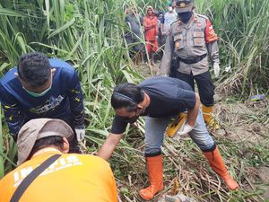Mayat Wanita Ditemukan di Tengah Ladang Tebu Brebes, Diduga Dibunuh!