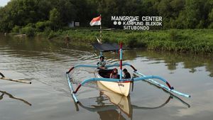 Kampung Blekok Tempat Wisata dengan View Keren, Rumah Ratusan Burung Air