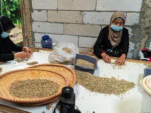 Keren! Kopi Sarongge Asal Cianjur Dapat Penghargaan Internasional Keren! Kopi Sarongge Asal Cianjur Dapat Penghargaan Internasional