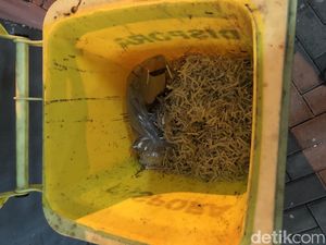 KPK Respons Viral Diduga Dokumen di Pemkot Bekasi Dimusnahkan Usai OTT