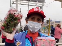 Bikin Haru! Nenek Ini Nangis Ketika Stroberi Dagangannya Diborong