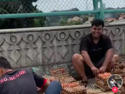 Ratusan Butir Telur Pecah karena Kecelakaan, Sopir Ini Masih Bisa Tertawa