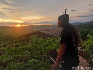 Lahan Sawit Disulap Jadi Agrowisata dan Edukasi