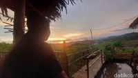 Saat Kebun Porang di Sukabumi Jadi Agro Wisata