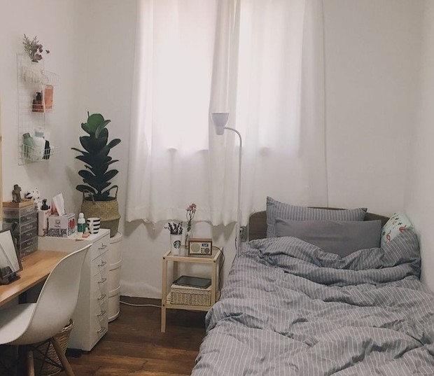 Tanaman hias indoor/Foto: Pinterest.com/DioneDistal tips dekorasi kamar estetik ala Korea yang murah