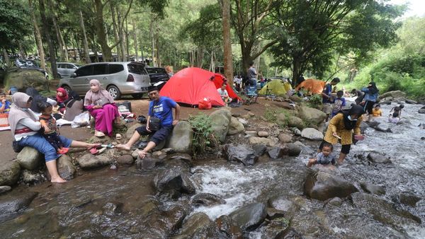 Sensasi Kemping di Bumper Bedengan Selorejo