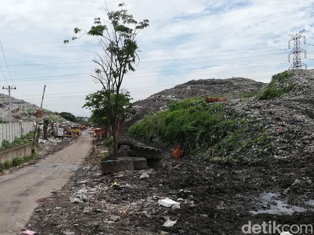 Bahan Baku Sampah Terbatas, Walhi Jateng: Proyek PLTSa di Solo Dipaksakan