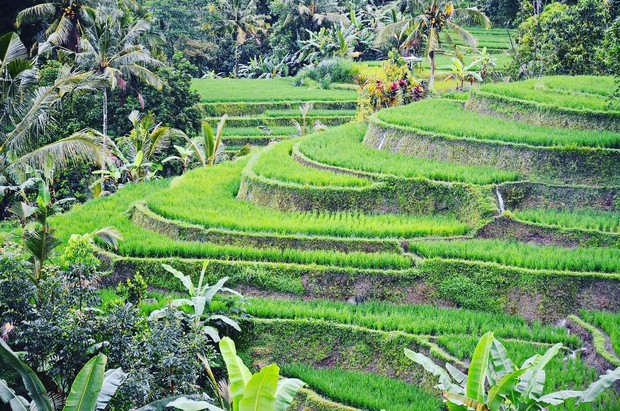 Jajaran wisata Indonesia yang diakui UNESCO