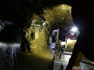 Koleksi Harta Karun RI Bertambah! Dekat Mandalika Ada 2 Miliar Ton Emas-Tembaga Koleksi Harta Karun RI Bertambah! Dekat Mandalika Ada 2 Miliar Ton Emas-Tembaga
