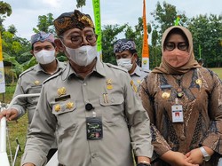 Jebakan Tikus Listrik Tewaskan 23 Orang di Sragen, Ini Solusi Mentan