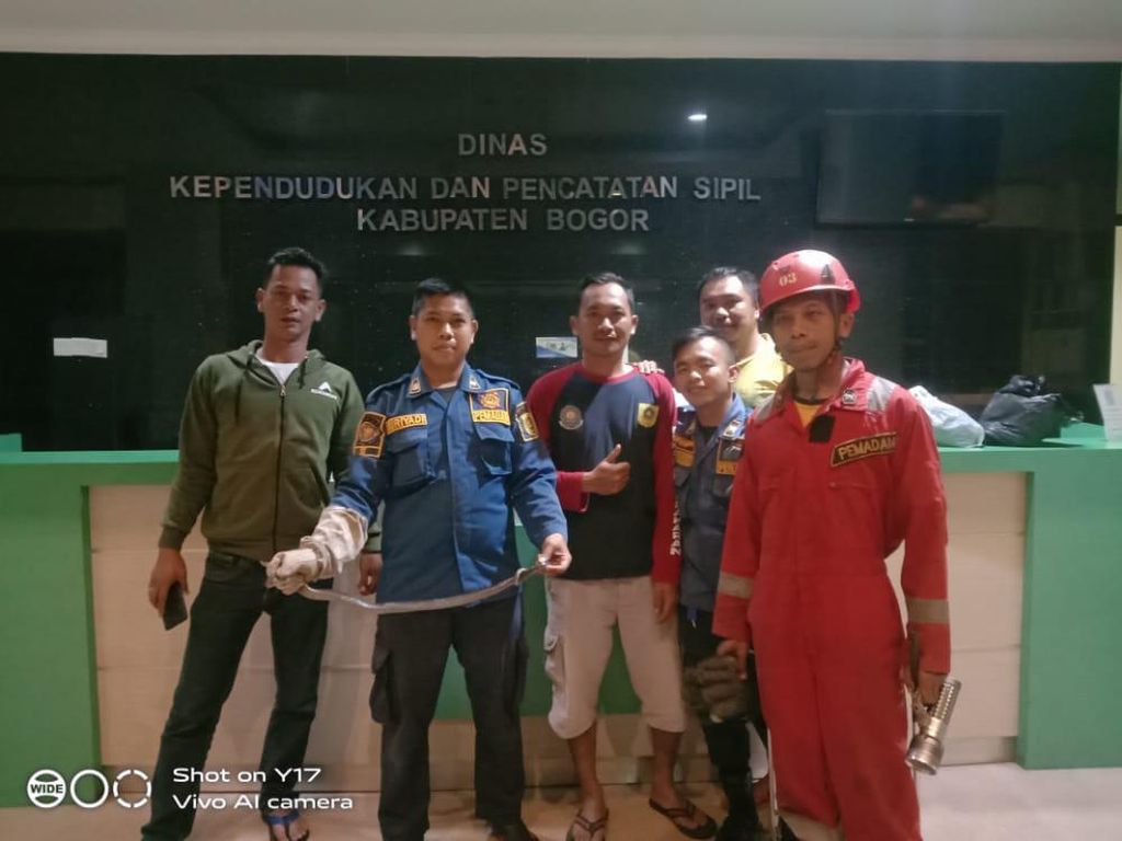 Ular Kobra Masuk Kantor Disdukcapil Bogor, Sempat Sembunyi di AC Portabel