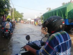 Jalan Pantura Kraton Pasuruan Terendam, Kendaraan Padat Merayap