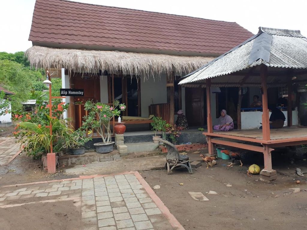 Sarhunta-Tenda di Mandalika Ludes Disewa Sarhunta-Tenda di Mandalika Ludes Disewa