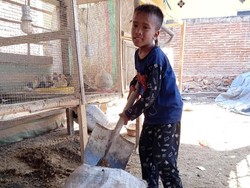 Kisah Pilu Bocah 7 Tahun di NTB Dibayar Rp 2 Ribu Bersihkan Kandang Bebek