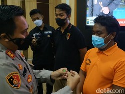 Motif Iseng di Balik Viral Lumba-lumba Mati di Kapal yang Bikin Heboh