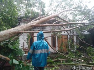 10 Rumah Rusak Tertimpa Pohon-Disapu Angin Kencang di Tasikmalaya