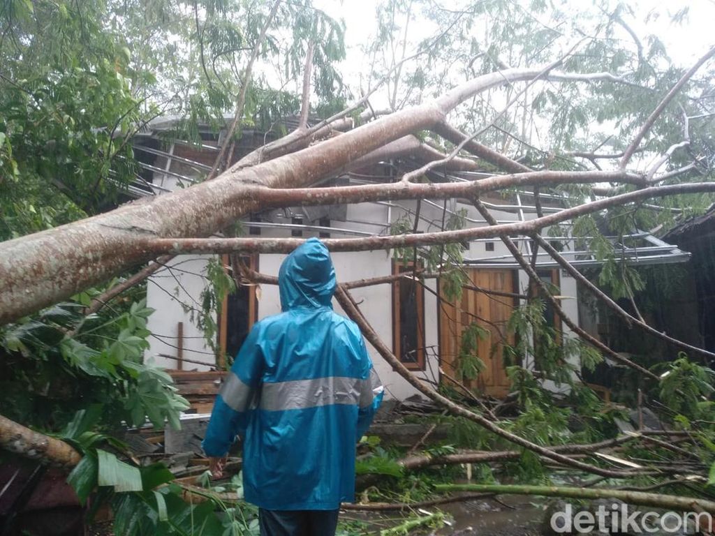 10 Rumah Rusak Tertimpa Pohon-Disapu Angin Kencang di Tasikmalaya