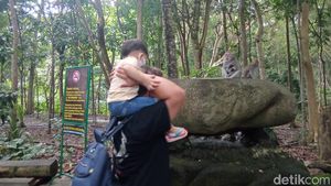 Sacred Monkey, Hutan Monyet Paling Favorit di Ubud