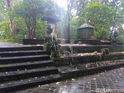Monkey Forest Ubud: Harga Tiket, Jam Buka, dan Daya Tariknya