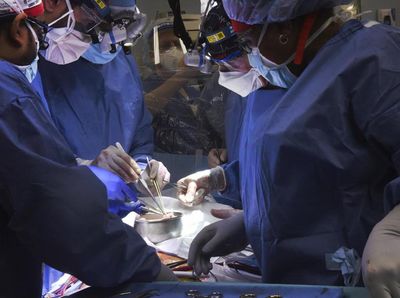 Potret Pria Pertama di Dunia yang Jalani Transplantasi Jantung Babi