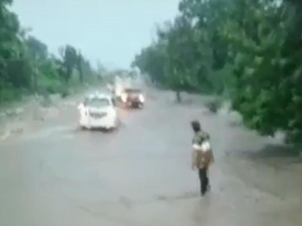 Video Viral Hutan Baluran Banjir Dipastikan Hoax, Polisi: Itu Video Lama