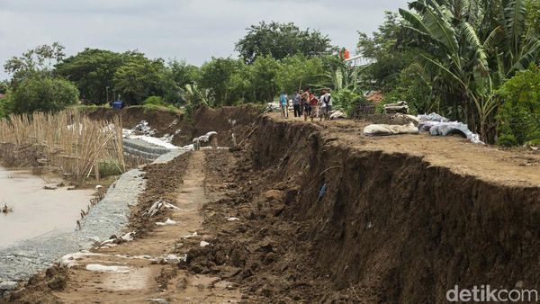 Ini Loh, Tanggul Citarum yang Longsor di Kabupaten Bekasi