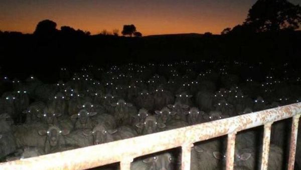 Deretan Foto Biasa Tapi Menakutkan dan Mengerikan, Berani Lihat?