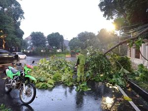 Pohon Tumbang Timpa Warung hingga 6 Motor di Kebon Pala Jaktim