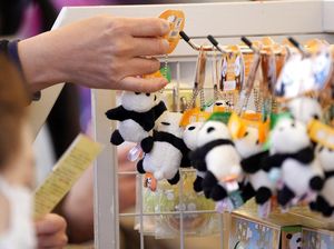 Kawai! Anak Panda Kembar Dipamerkan di Bonbin Ueno