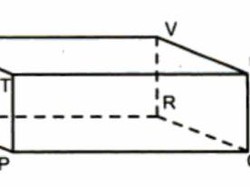 Jaring-jaring Balok: Ciri, Rumus Lengkap, dan Contoh Soalnya