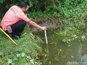 Seorang Kakek di Tulungagung Tewas Tercebur Kolam Saat Cari Pakan Kambing