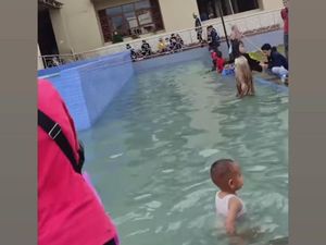 Kolam Ikan Masjid Sukabumi Jadi Tempat Renang, Sekda: Sudah Ditertibkan Kolam Ikan Masjid Sukabumi Jadi Tempat Renang, Sekda: Sudah Ditertibkan