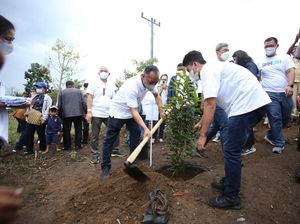 Lestarikan Danau Toba, Erick Thohir & BUMN Targetkan Tanam 460 Ribu Pohon