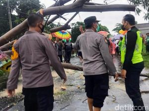 Anggota TNI Tewas Tertimpa Pohon Tumbang di Situbondo
