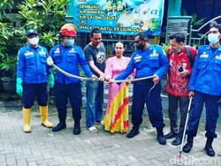 Ular Koros 1,5 Meter Bikin Panik Pemilik Toko di Lamongan