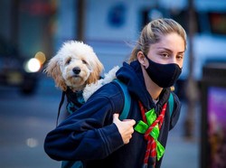 Warga AS Diminta Tak Lagi Pakai Masker Kain, Apakah Sebaiknya Kita Mengikutinya?