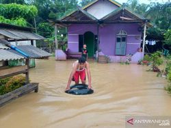 Penajam Paser Utara Kembali Dilanda Banjir