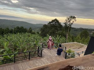 Satu-satunya di Indonesia, Kafe di Puncak Bukit Berlanskap Pantai